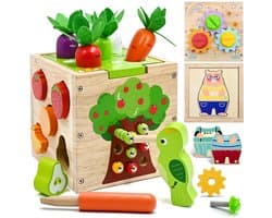 Montessori 5-in-1 Activiteitenkubus