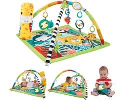 Fisher-Price Babygym 3-in-1