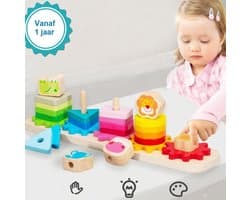 Boby Montessori Vormenpuzzel