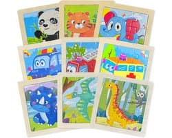 Houten Puzzelset 9 Stuks