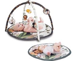 Mobiclinic Dreamland Babygym